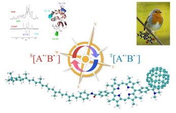 Homework help with physical chemistry